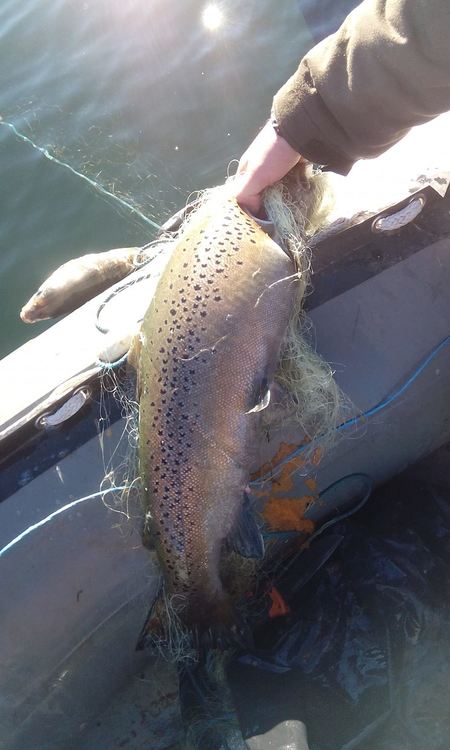 Снимки: ИАРА Смолян