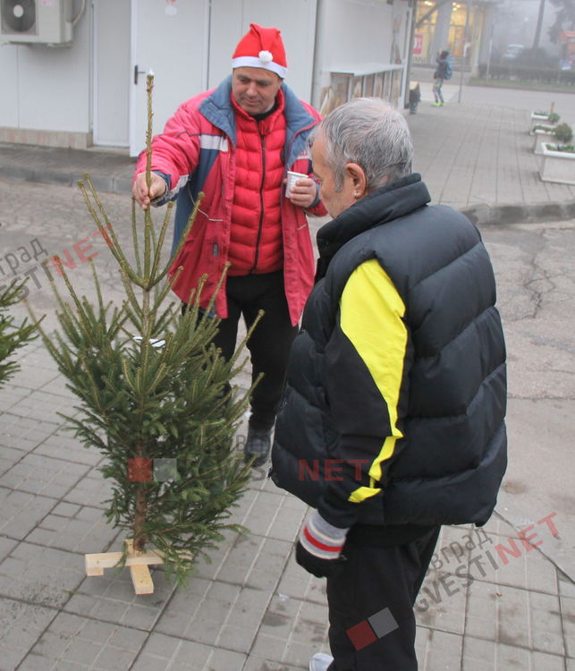 Истинска или изкуствена елха за Коледа - Бойко от Смолян всяка година продава живи елхи в Димитроврад
