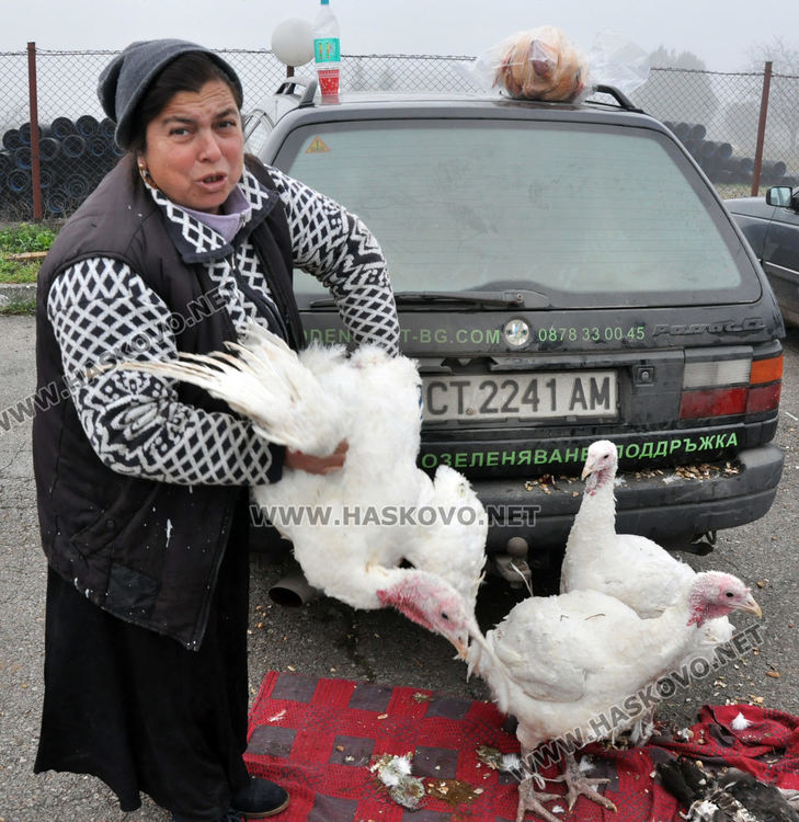 Пазарлъкът сваля цената на коледната пуйка от 10 на 8 лева