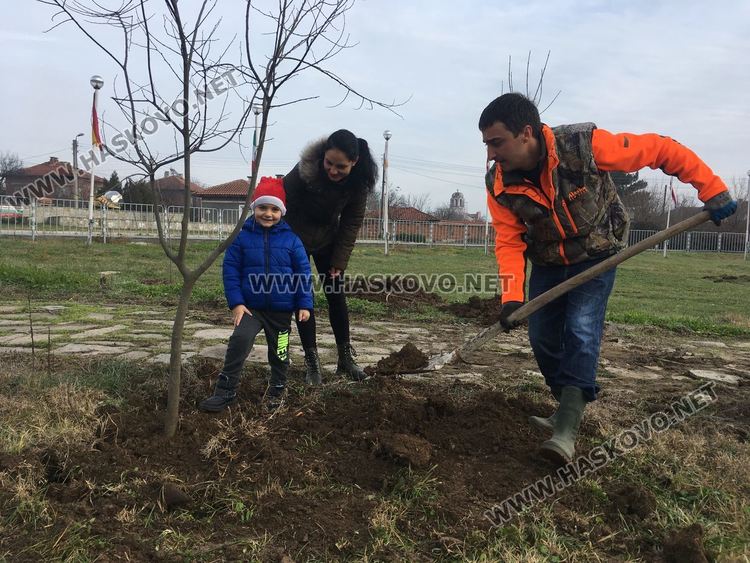 Посрещнаха Дядо Коледа в Книжовник, засадиха и 60 дръвчета