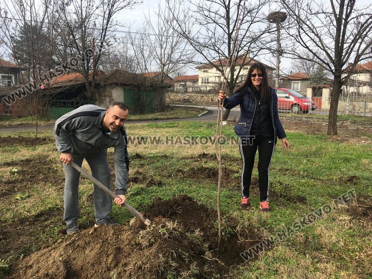Посрещнаха Дядо Коледа в Книжовник, засадиха и 60 дръвчета