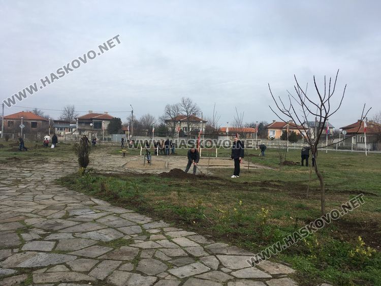 Посрещнаха Дядо Коледа в Книжовник, засадиха и 60 дръвчета