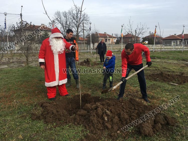 Посрещнаха Дядо Коледа в Книжовник, засадиха и 60 дръвчета