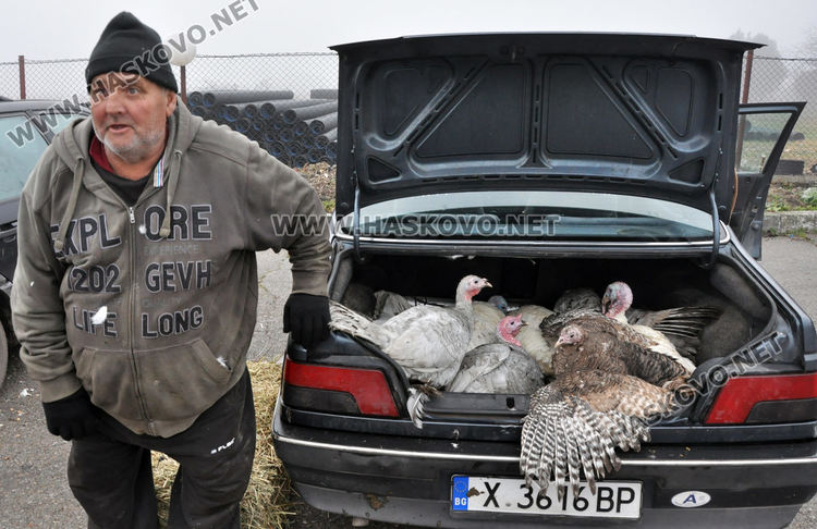 Пазарлъкът сваля цената на коледната пуйка от 10 на 8 лева