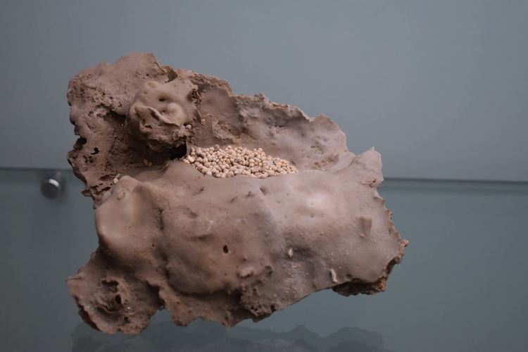 С над 3,5 млн. лв.  развиват пещерния туризъм в Родопите и изучават колониите от прилепи 