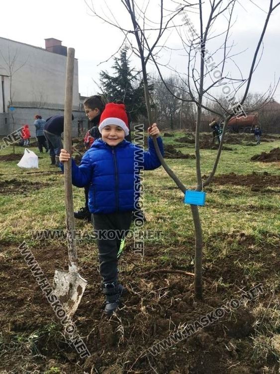 Посрещнаха Дядо Коледа в Книжовник, засадиха и 60 дръвчета