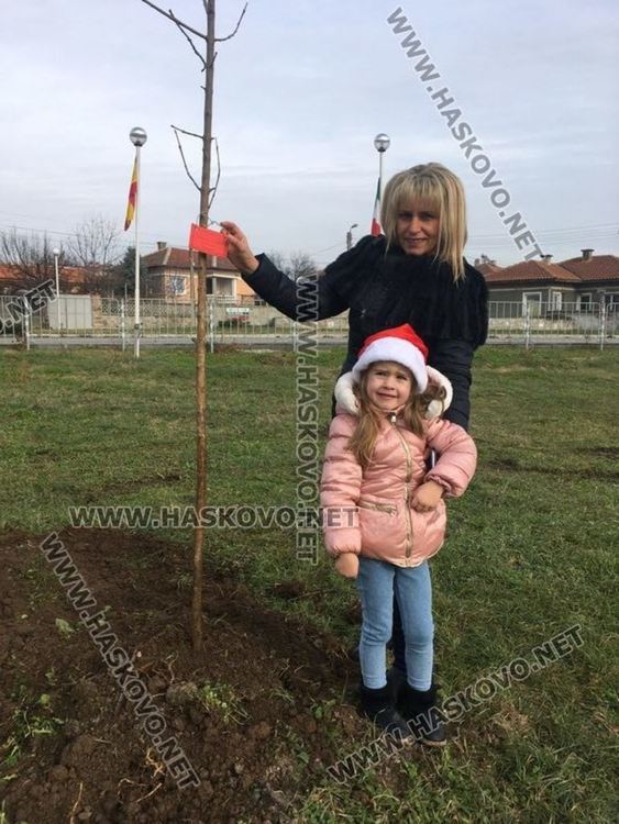 Посрещнаха Дядо Коледа в Книжовник, засадиха и 60 дръвчета