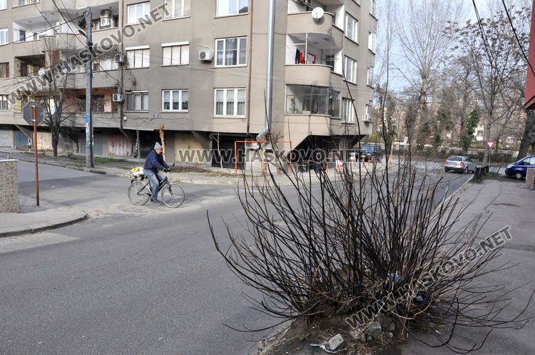Хасковлия сигнализира за храст, драскащ преминаващи коли