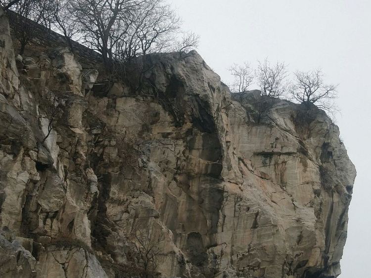 "Ротари" дари на Общината проект за изграждане на ограда на "Метоха"