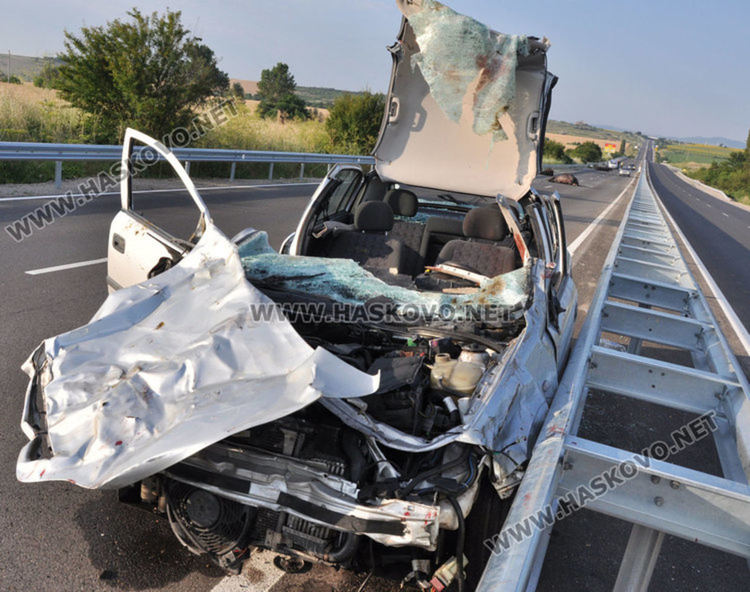 Снимка от катастрофата с биволите