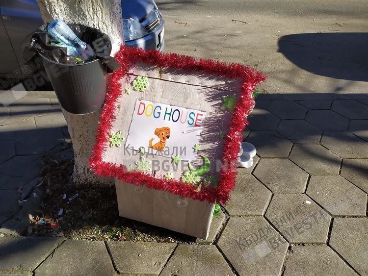 Бездомните кучета в Кърджали получиха подарък за Нова година-къщички и одеяла