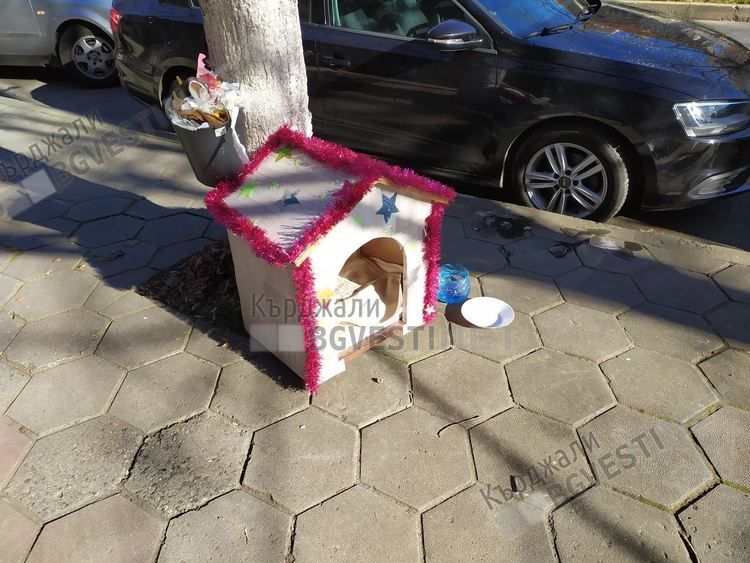 Бездомните кучета в Кърджали получиха подарък за Нова година-къщички и одеяла