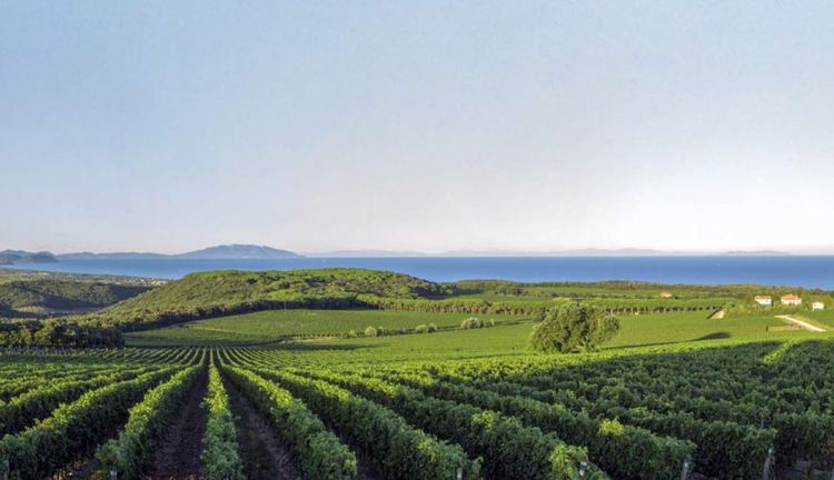 Град Болгери – български следи в сърцето на виното в Тоскана