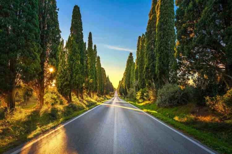 Град Болгери – български следи в сърцето на виното в Тоскана