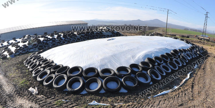 Стотици автомобилни гуми и кости са изхвърлени в бивше ракетно поделение