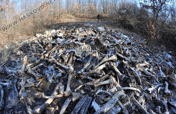 Стотици автомобилни гуми и кости са изхвърлени в бивше ракетно поделение