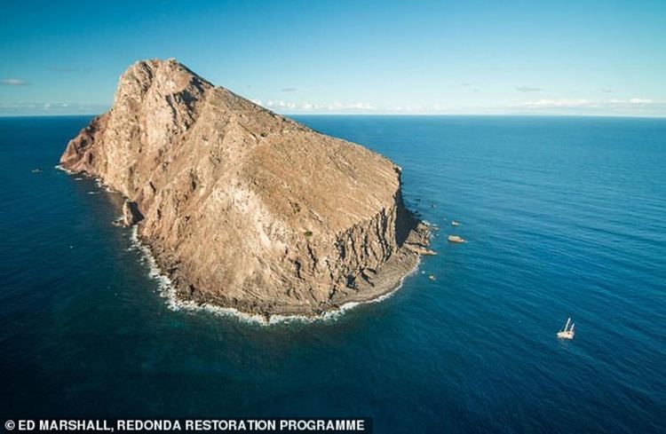 Необитаем карибски остров отново кипи от живот след отстраняване на инвазивни видове