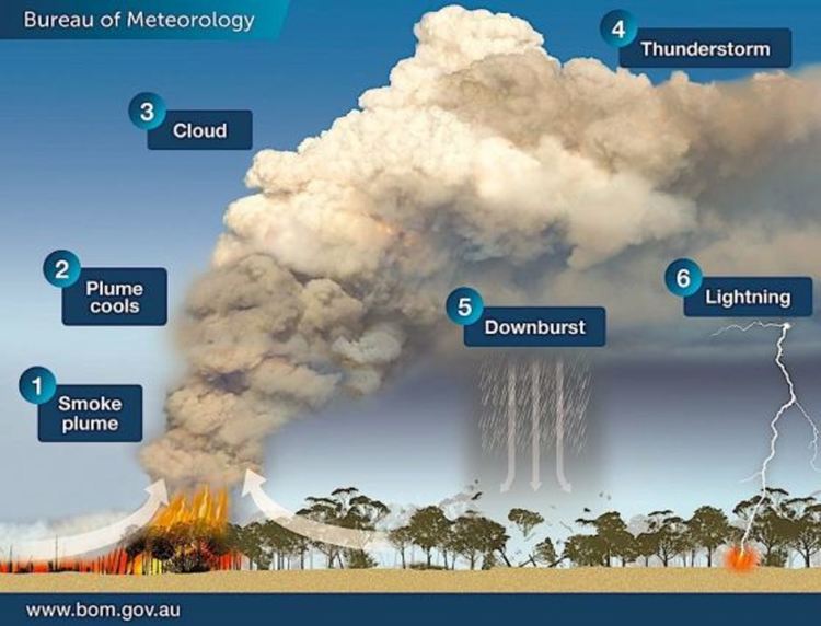 Схема на образуването на облаците пирокулонимбус. Кредит: Bureau of Meteorology, Victoria