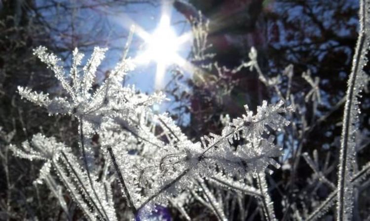 Предимно слънчево, но студено в сряда