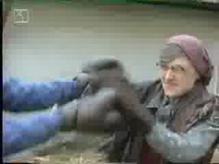 Баба наби дядото си, вкара го в болницата в Ардино