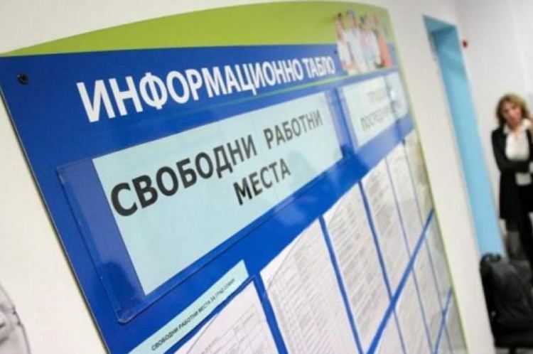 Търсят логопед и петима програмисти в Хасково