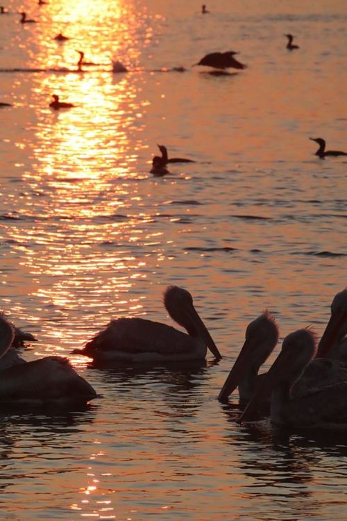 снимка :Вадимир Трифонов, РИОСВ -Хасково 