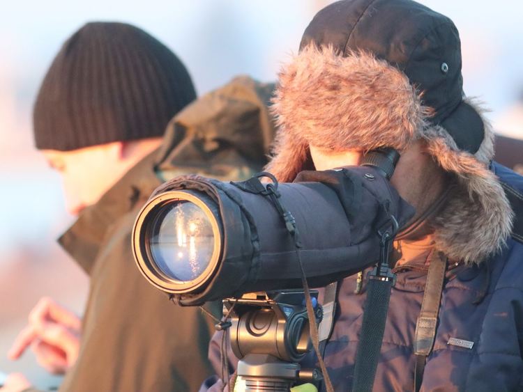 сн: Владимир Трифонов