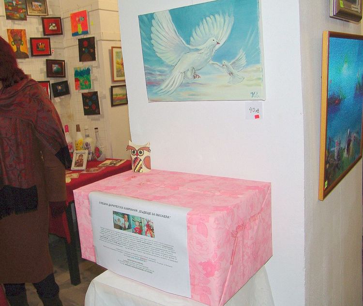 2 541 лв. за лечението на Михаела събра изложбата на димитровградски творци