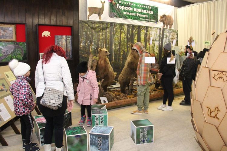 Бум на желаещи за безплатни посещения в културните институции, извънредни прожекции в планетариума в Смолян