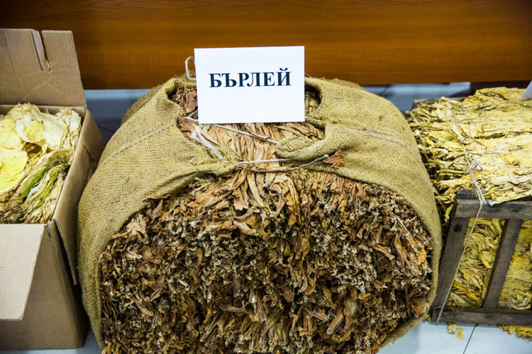 До 29 февруари тютюнопроизводителите ще получат малко над 76 млн. лева преходна национална помощ за кампания 2019