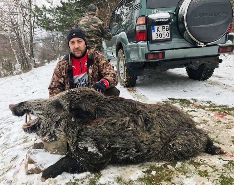 Десислава Танева: Само в Кърджали и Хасково няма заразени с чума диви свине