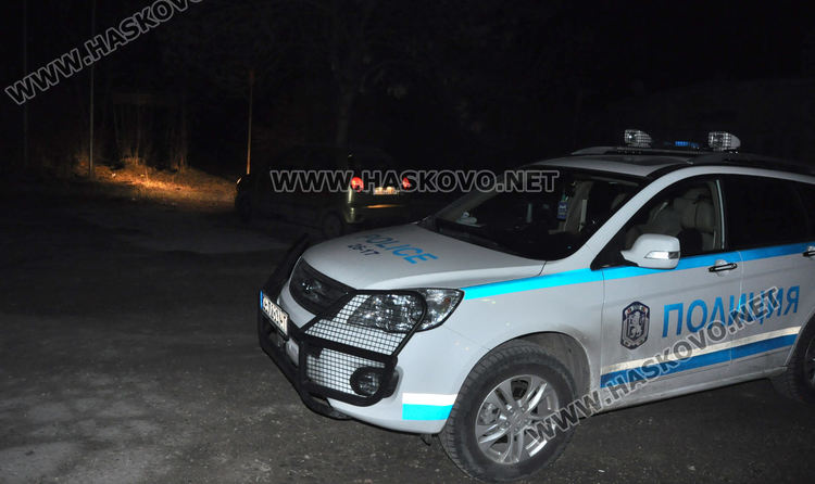 Намериха мъртви кучета в Хасково, предполагат отравяне