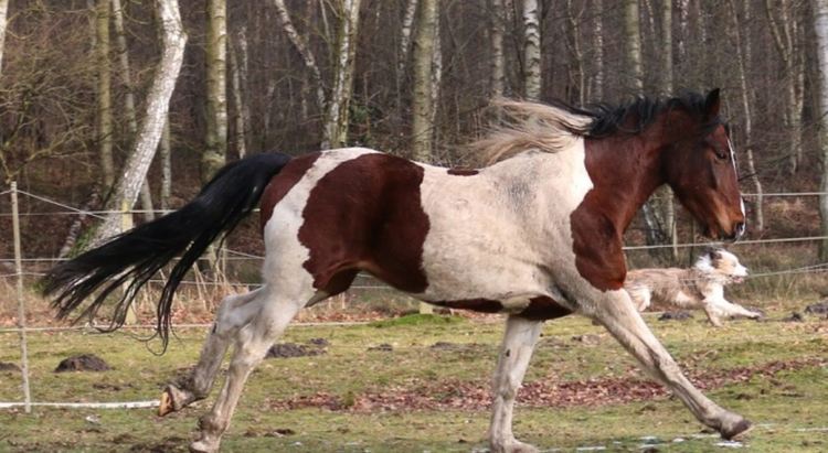 снимката е илюстартивна