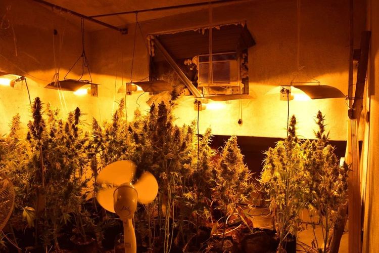 Снимки: ОД на МВР-Хасково