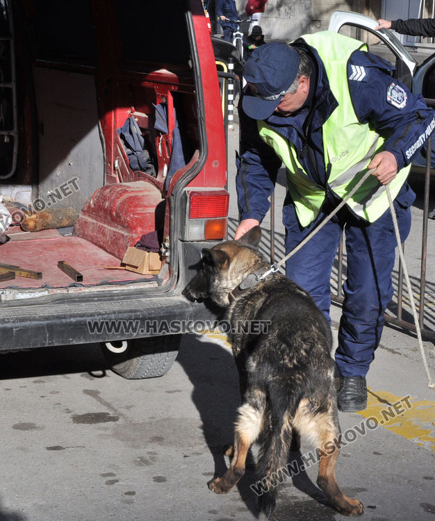 Нова спецакция на МВР с полицейско куче в Хасково