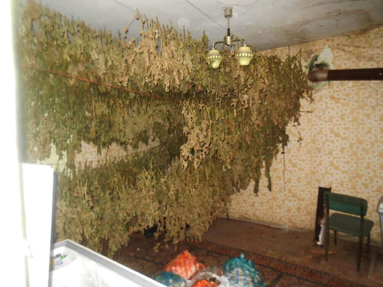 Снимки: ОД на МВР