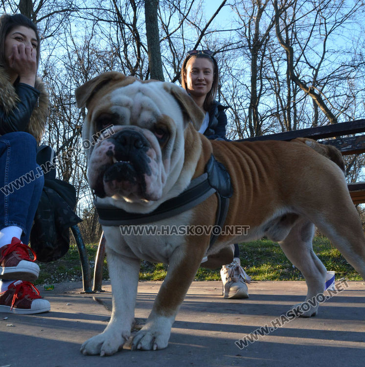 18.5 градуса температурен рекорд в Хасково