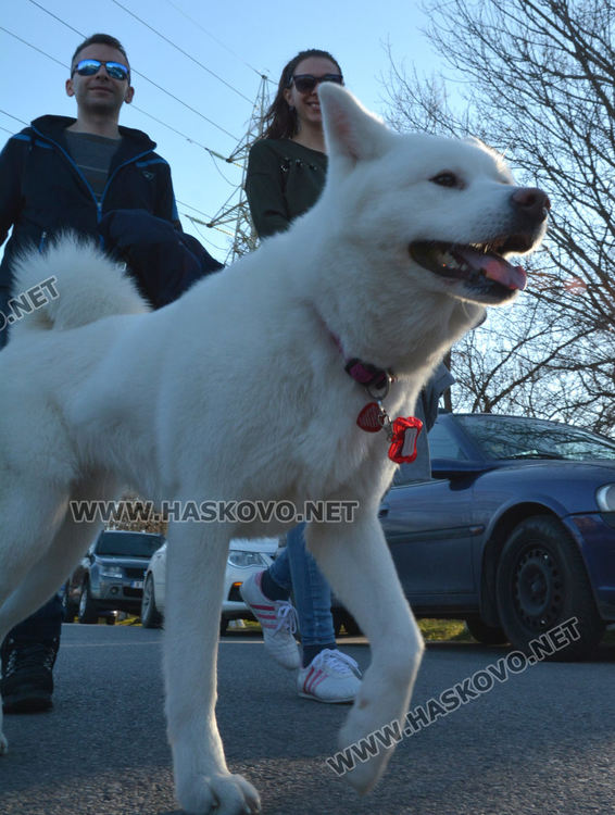 18.5 градуса температурен рекорд в Хасково