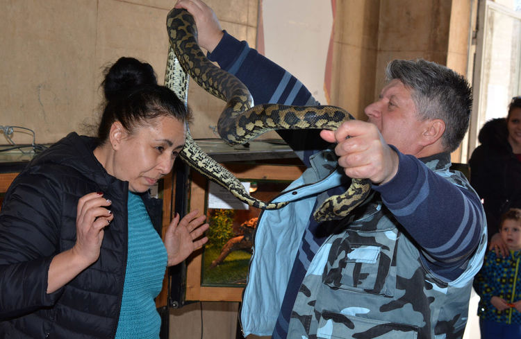 Най-отровните змии на изложба в Хасково