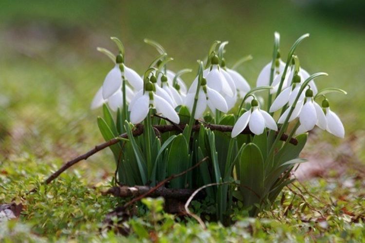 Слънчево и топло днес