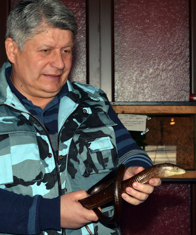 Най-отровните змии на изложба в Хасково