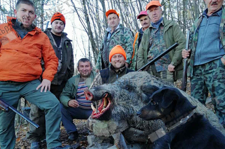 Ловците в Кърджалийско си отстреляха на диви прасета, падат и трофеи