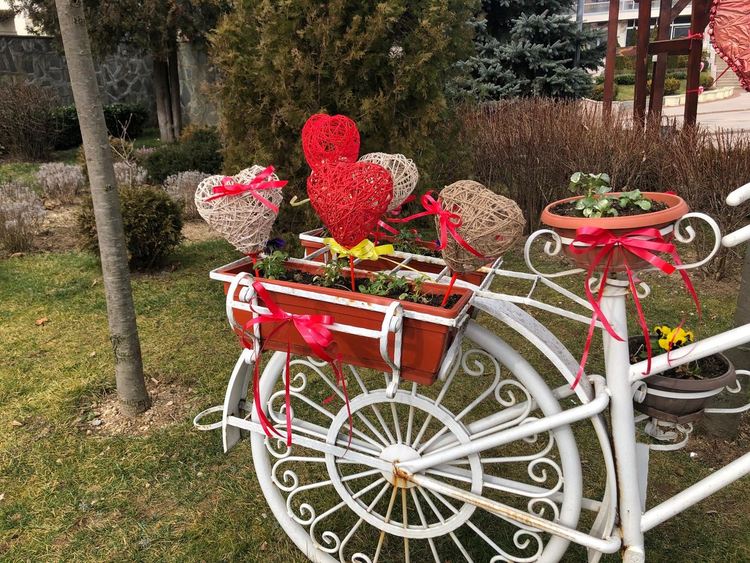 Златоград грейна с нова украса за Свети Валентин