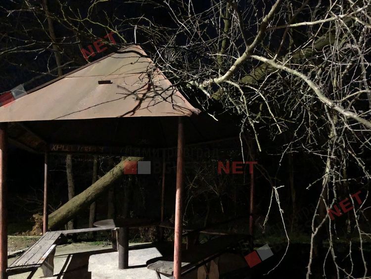 Силният вятър изкорени дърво в Димитровград, падна върху беседка