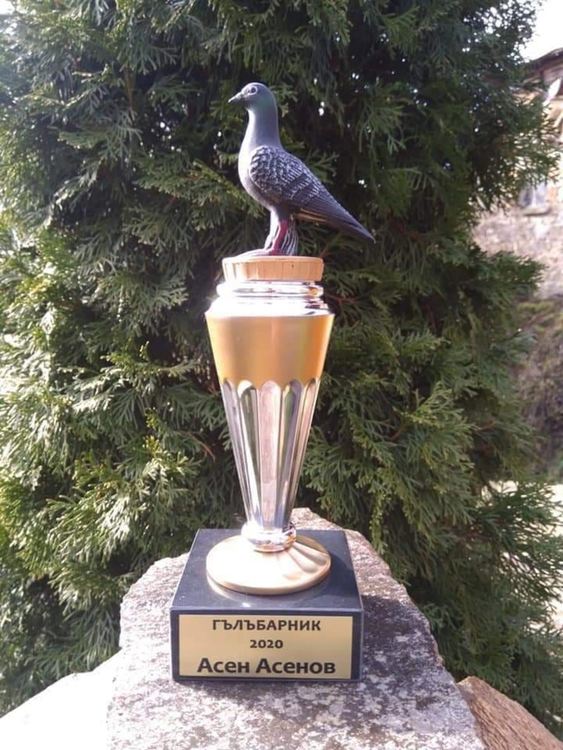  Асен от Смолян не чува и не говори, но за половин година сам построи дворец за гълъби