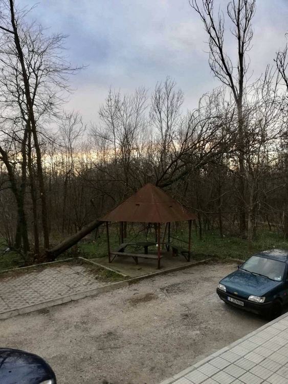 Силният вятър изкорени дърво в Димитровград, падна върху беседка