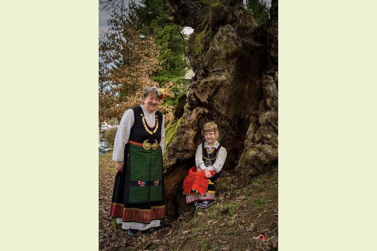 Вековният дъб в Ново село /летен дъб/, България, сн:Орлин Джомов