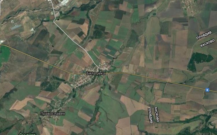 Общината предлага 5 имота за загробване на животни в случай на епизоотична обстановка