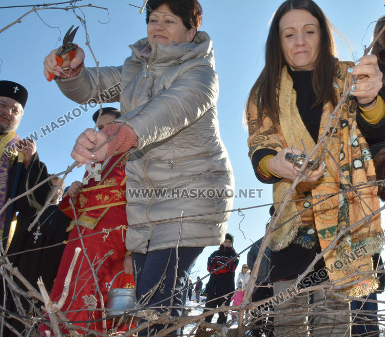 Зарязаха лозята в Харманли с водосвет, курбан и народни хора