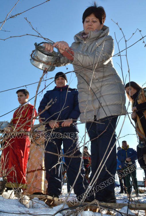 Зарязаха лозята в Харманли с водосвет, курбан и народни хора